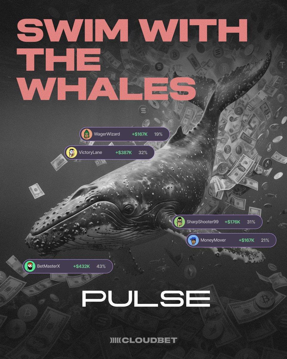 Cloudbet Pulse feature interface showing whale betting profiles
